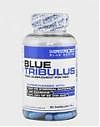 NATROID - BLUE TRIBULUS 90cps
