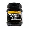 NATROID - GLUTAMINE POWDER 400gr