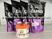 OFFERTA BIOTECH USA - CARBOX 4000gr + SALI MG.K-C OMAGGIO