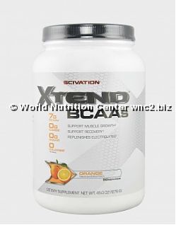 SCIVATION - XTEND 384gr